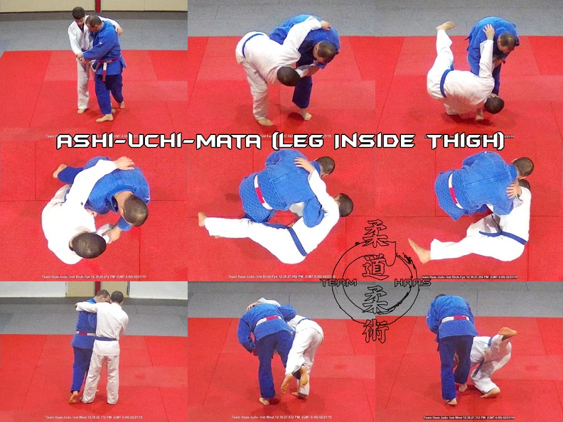 THJ-T-D- Ashi-Uchi-Mata (leg inside thigh)- 02-21-19--01_1080x marked_jpg.jpg