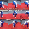 Hane-Goshi (spring hip, advanced entry) 01