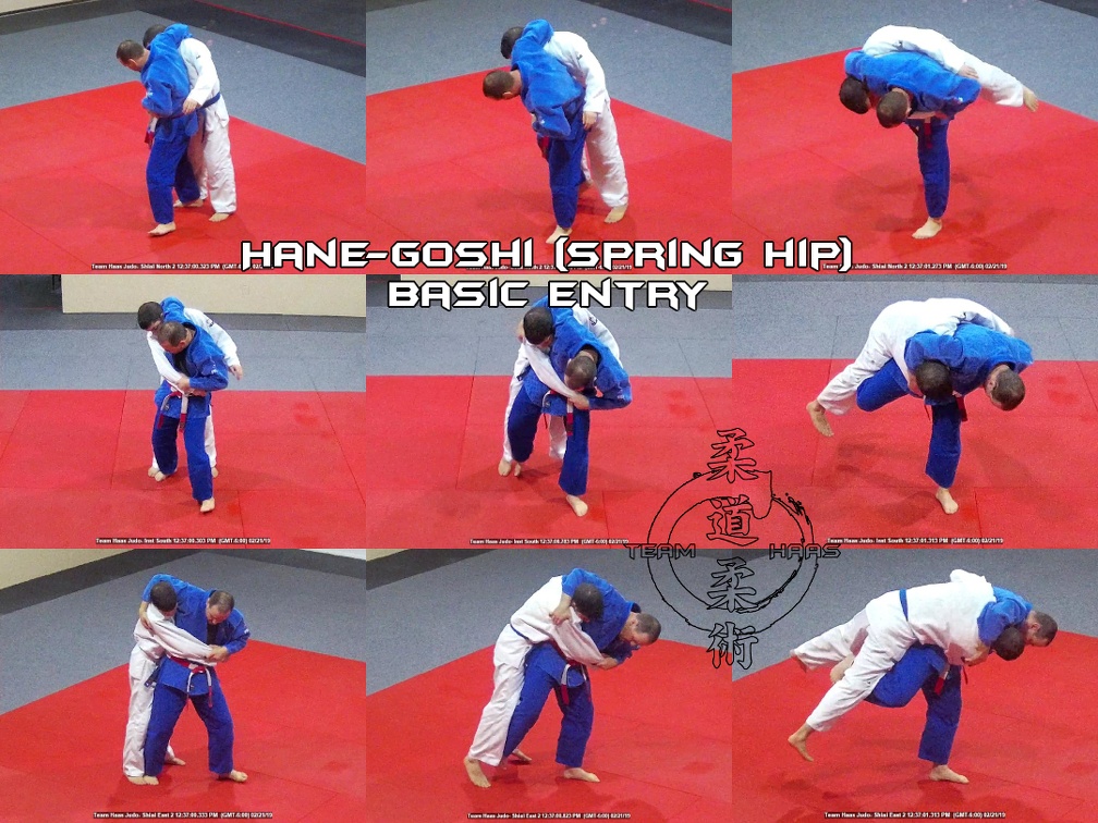 Hane-Goshi (spring hip, basic entry) 01