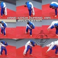 THJ-T-D- Hane-Goshi (spring hip, basic entry)- 02-21-19--01_1080x marked_jpg.jpg