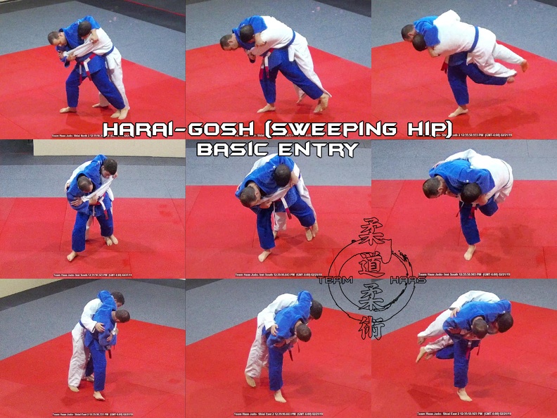 Harai-Goshi (sweeping hip, basic entry) 01