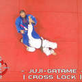 THJ-T-NW-D- Juji-Gatame (cross lock) 01--02_4,3 1080x_png.png