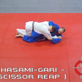 Hasami-Gari (scissor reap) 01