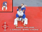 Kata-Ha-Jime (single wing choke) 01