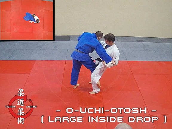 O-Uchi-Otosh (large inside drop) 01