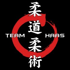 Team Haas - Reflective Vinyl Logo v1-rw-2017