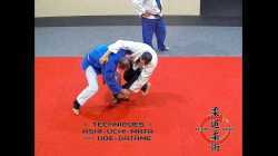 Ashi-Uchi-Mata to Ude-Gatame Combination