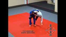 Kani Basami (aka: Flying Scissors)